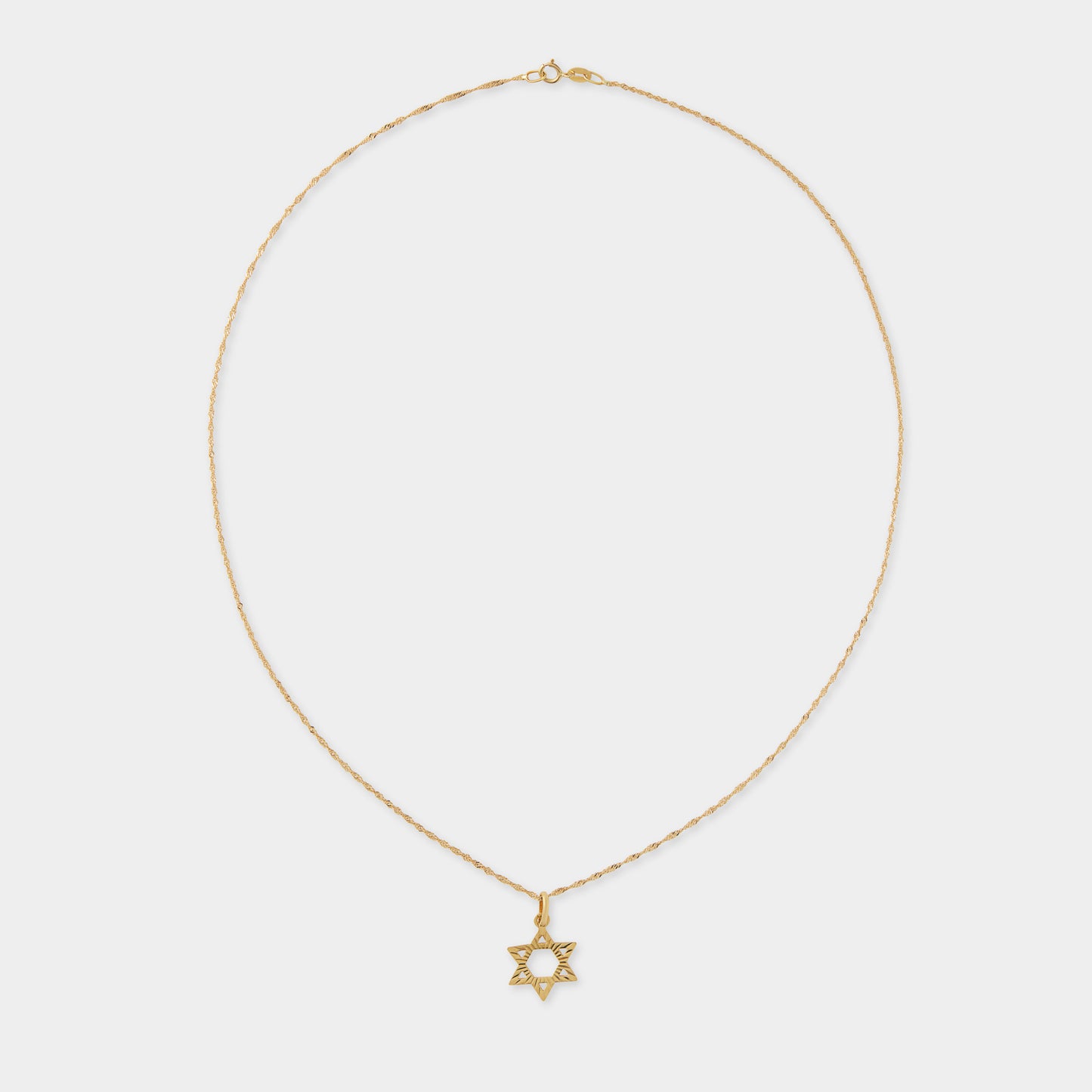 18 K Gold Rope Chain & David Star