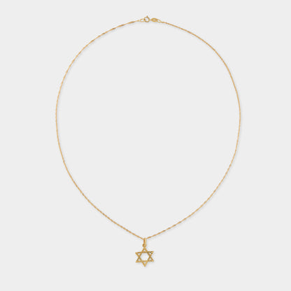 18 K Gold Rope Chain & David Star
