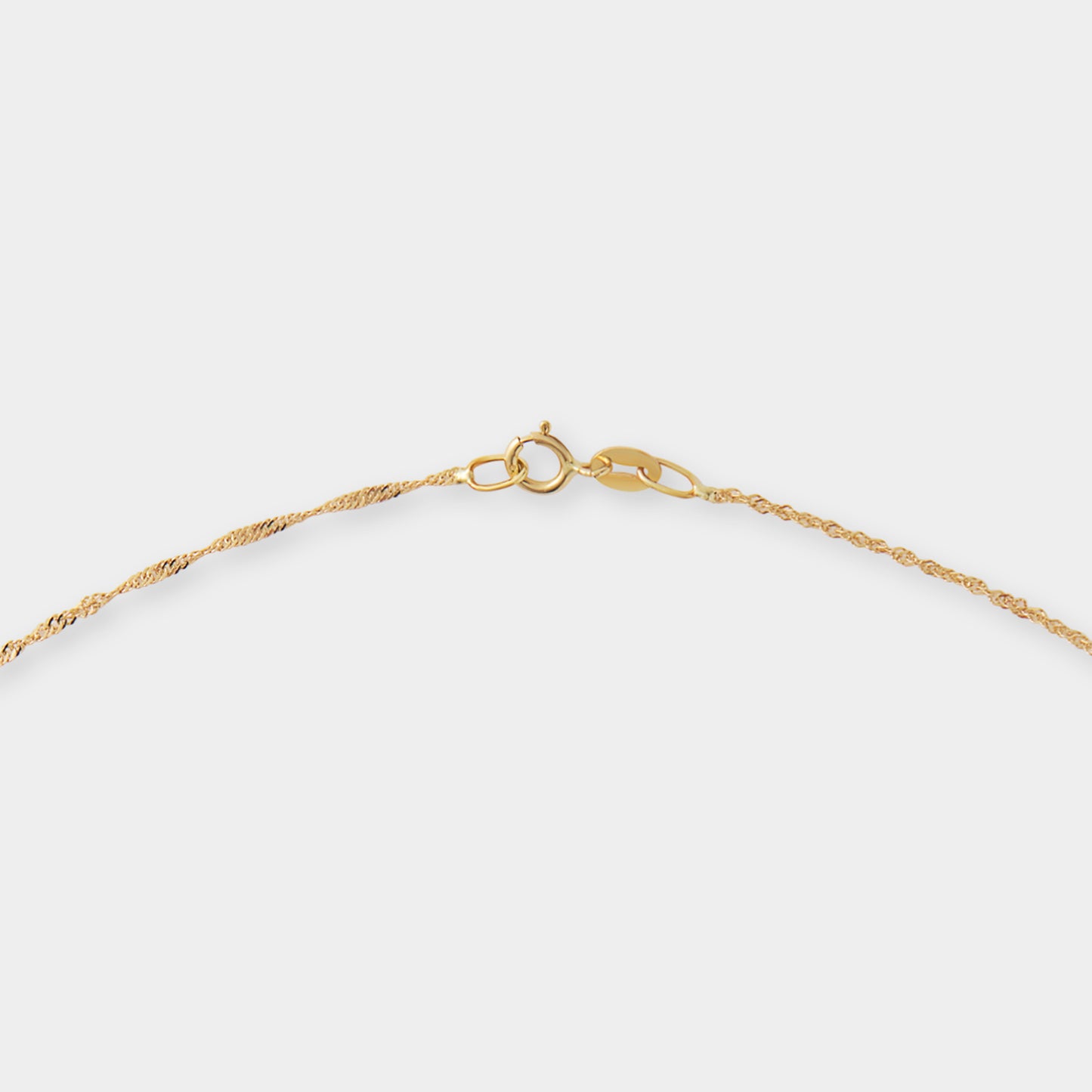18 K Gold Rope Chain & David Star