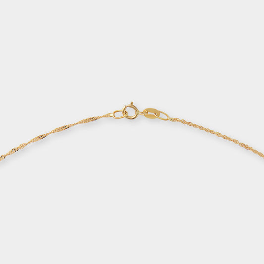 18 K Gold Rope Chain & David Star