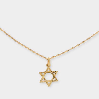 18 K Gold Rope Chain & David Star