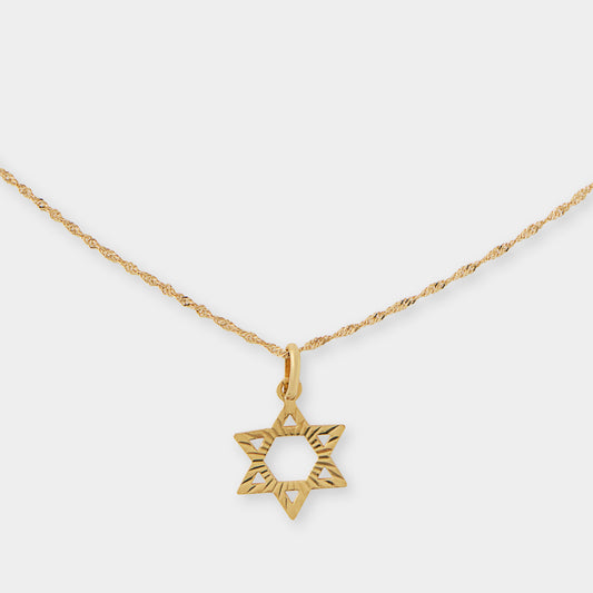 18 K Gold Rope Chain & David Star